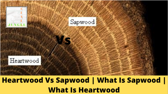 Heartwood Vs Sapwood