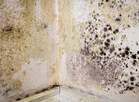 Causes of Dampness