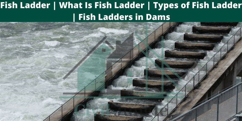 Fish Ladder