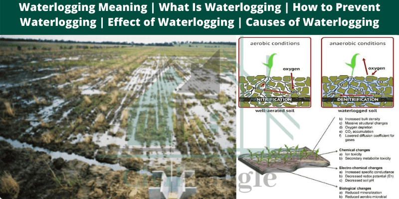 Waterlogging Meaning