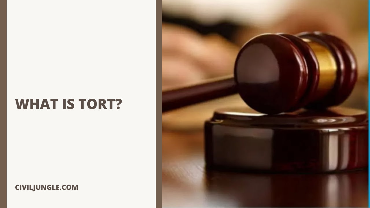 What Is Tort?