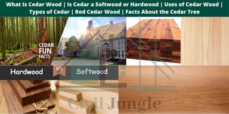 What Is Cedar Wood | Is Cedar a Hardwood | Uses of Cedar Wood | Types of Cedar | Red Cedar Wood | Facts About the Cedar Tree