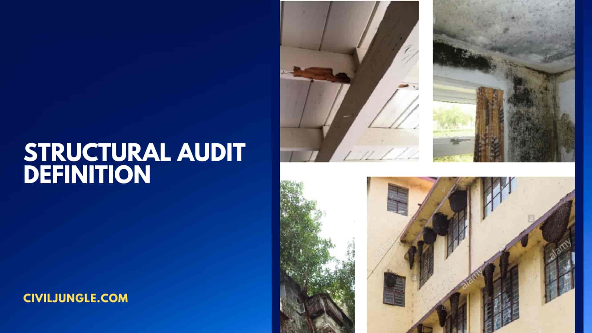 Structural Audit Definition