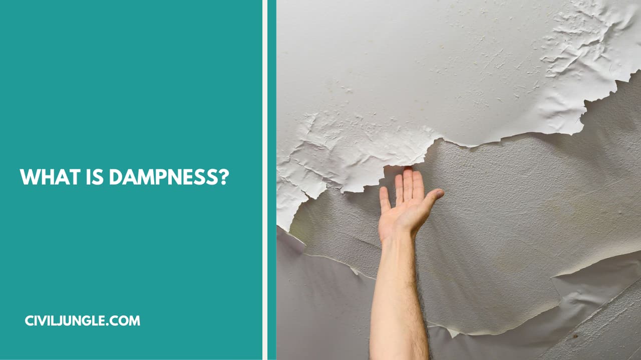 What Is Dampness?