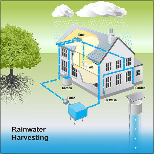 Rainwater Harvesting Project