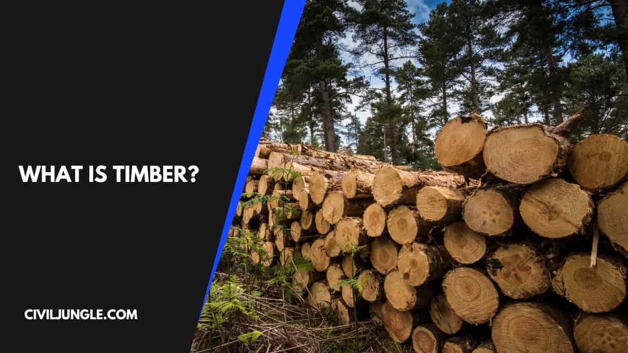 What Is Timber?