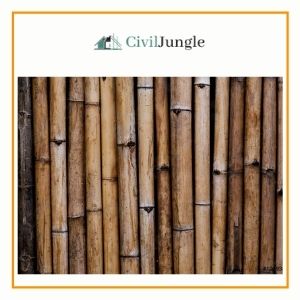 Bamboo Wood 