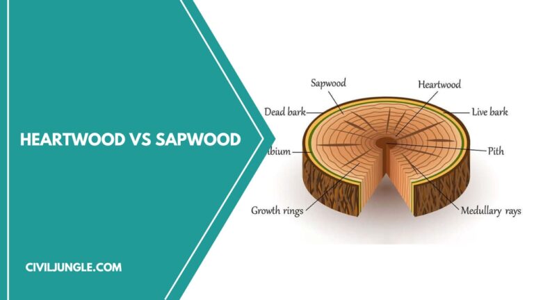 Heartwood Vs Sapwood | What Is Sapwood | What Is Heartwood