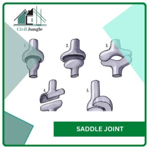 Saddle Joint