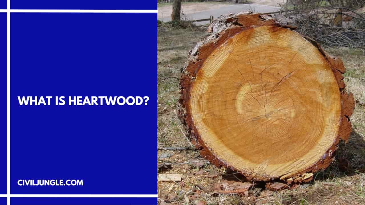 What Is Heartwood?