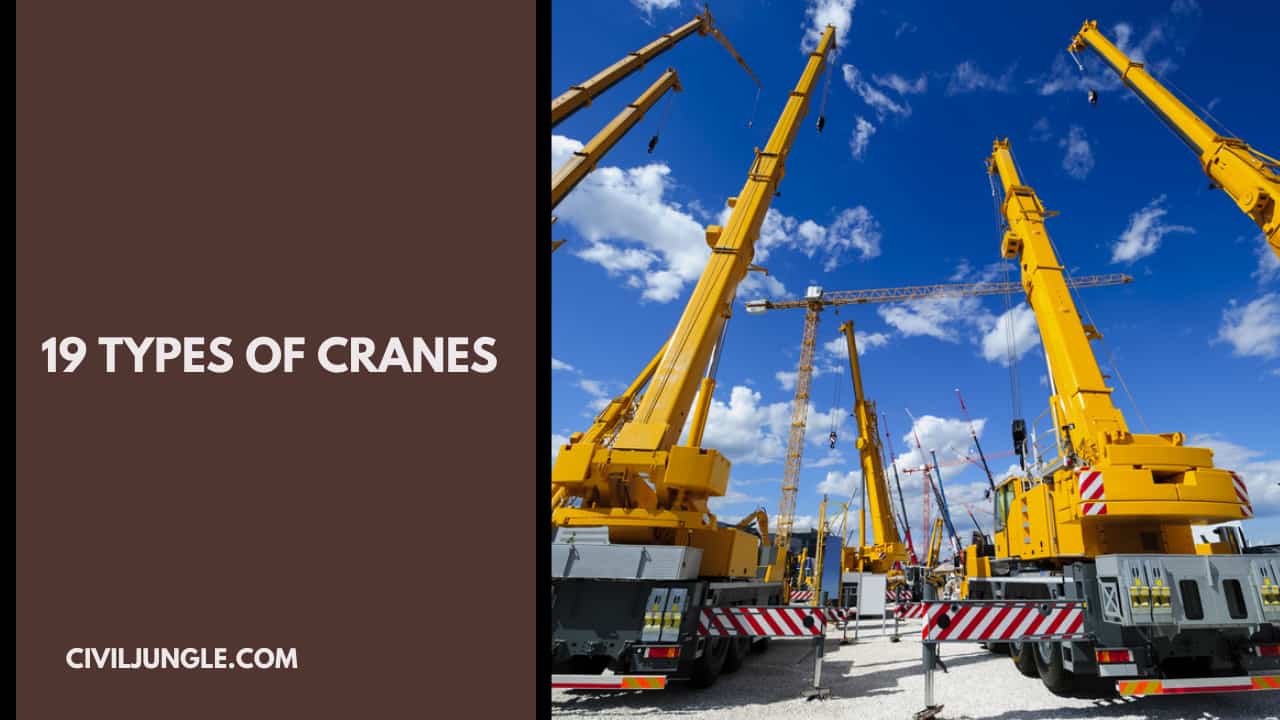 19 Types of Cranes