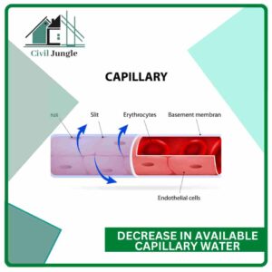Decrease in Available Capillary Water
