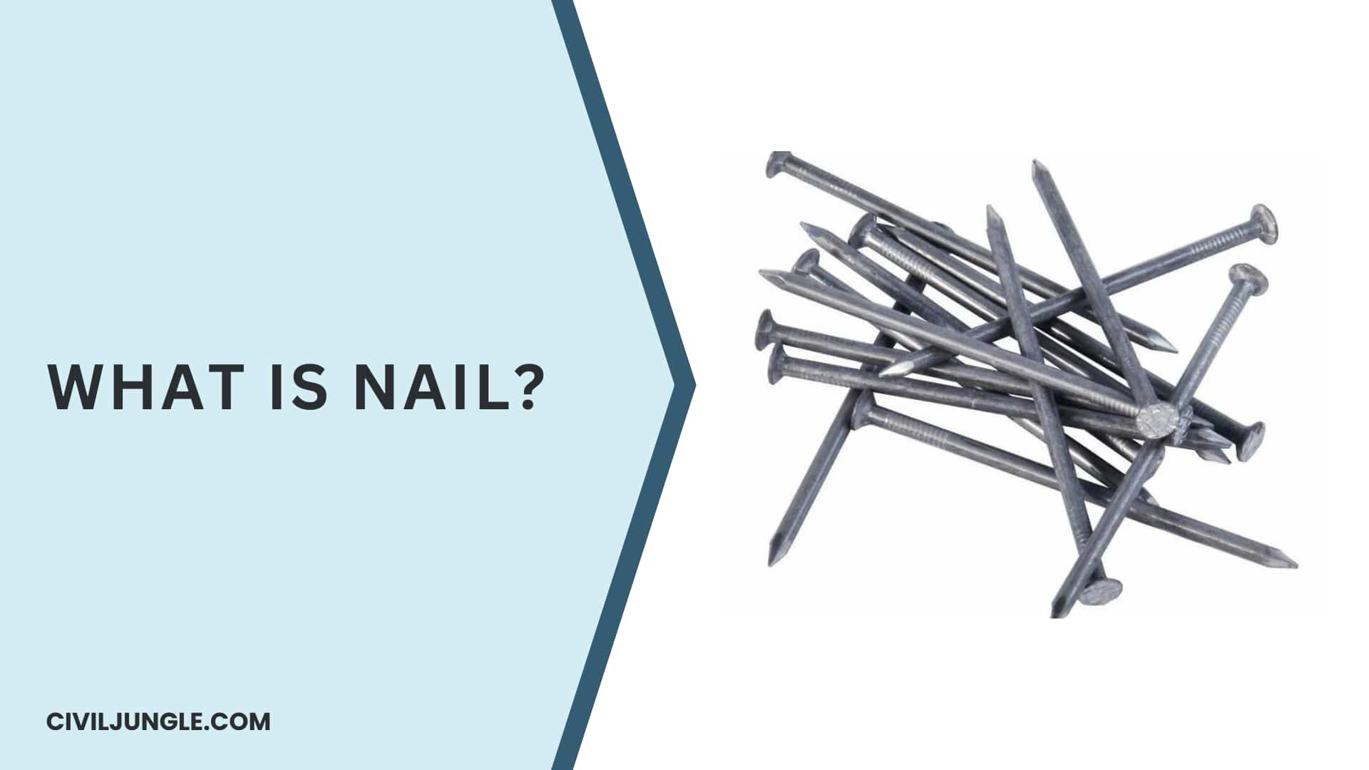 Nails Vs Screws  A Clear Guide On What To Use When