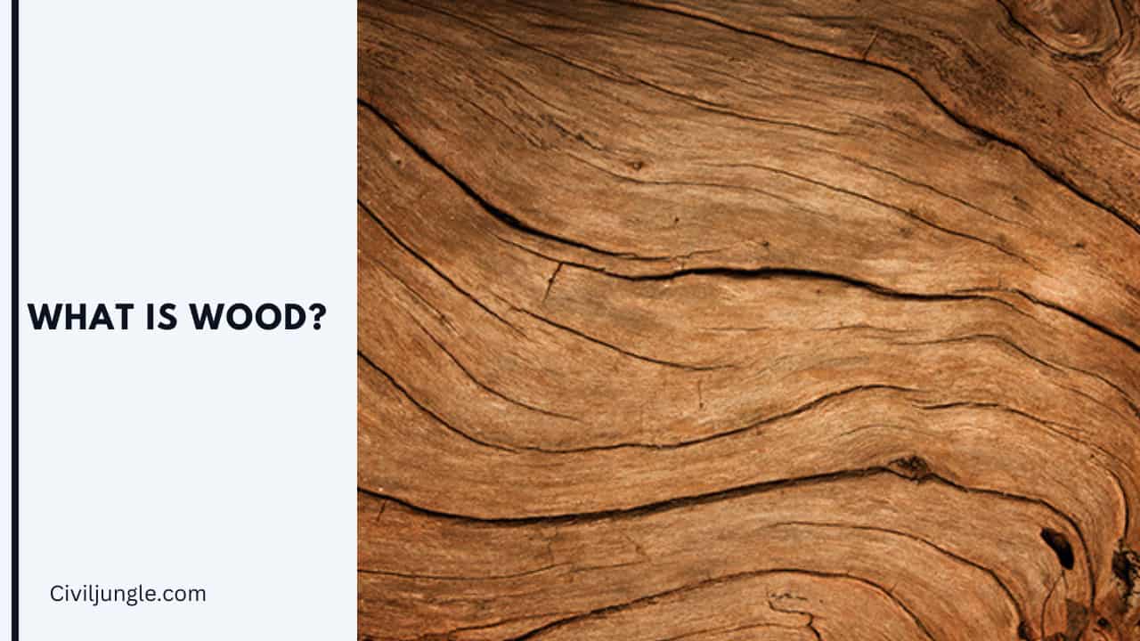 What Is Wood?