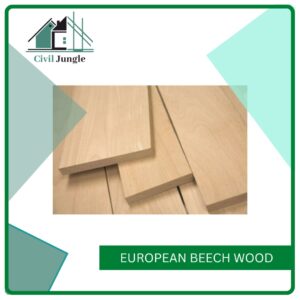 European Beech Wood