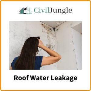 Roof Water Leakage