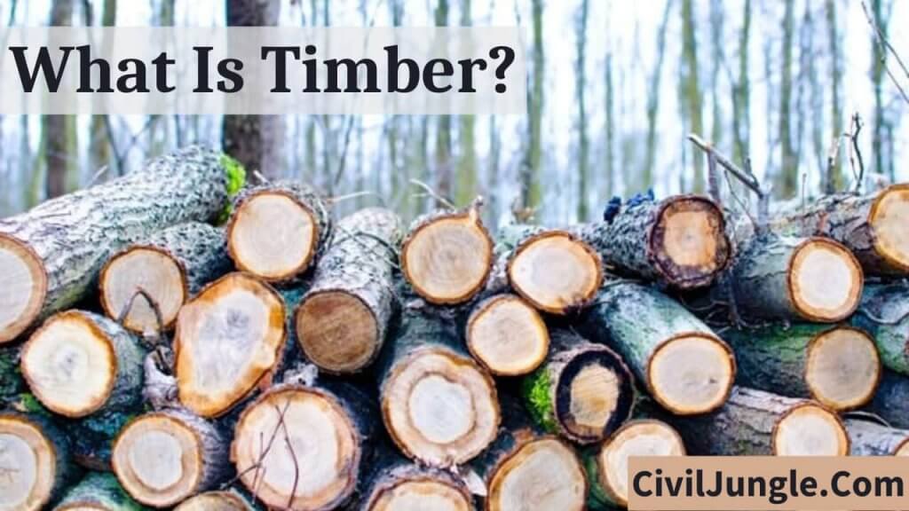 What Is Timber?