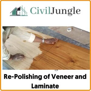 Re-Polishing of Veneer and Laminate