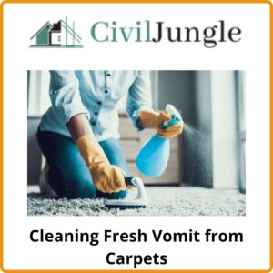 Cleaning Fresh Vomit from Carpets