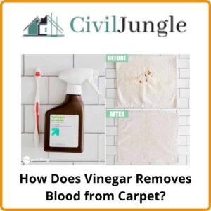 How Does Vinegar Removes Blood from Carpet?