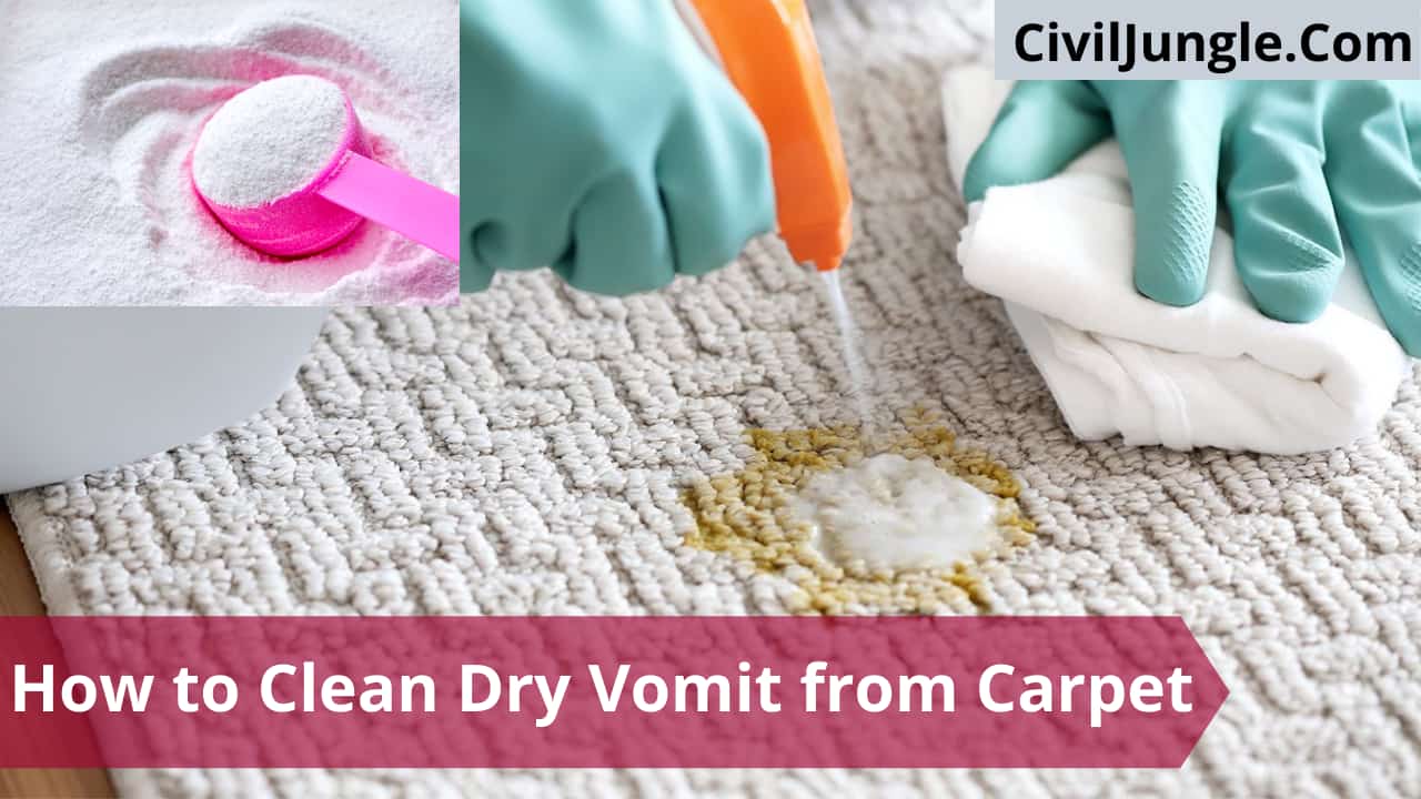 How to Clean Dry Vomit from Carpet