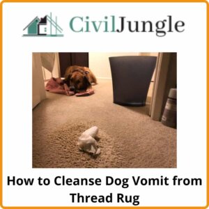 How to Cleanse Dog Vomit from Thread Rug