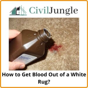 How to Get Blood Out of a White Rug?