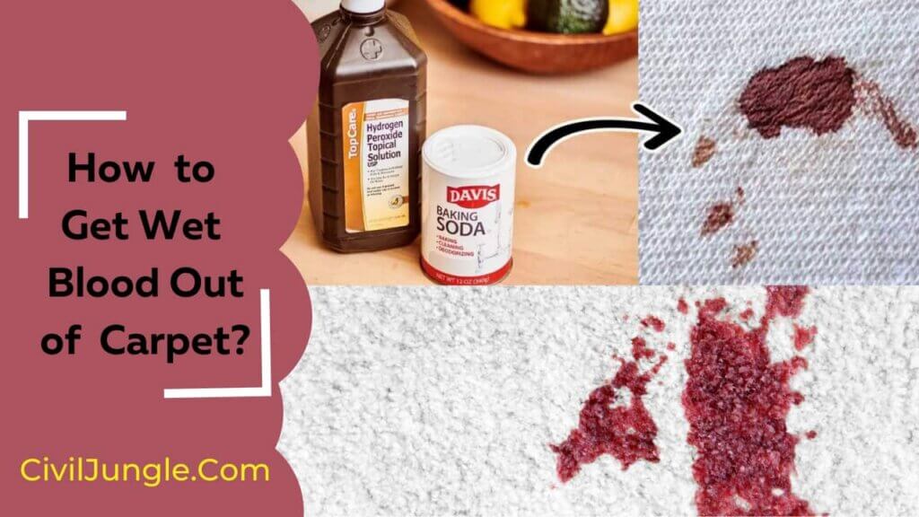 How to Get Wet Blood Out of Carpet? 