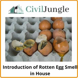 Introduction of Rotten Egg Smell in House