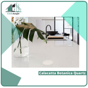 Calacatta Botanica Quartz