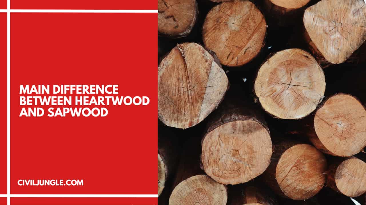 Main Difference Between Heartwood and Sapwood