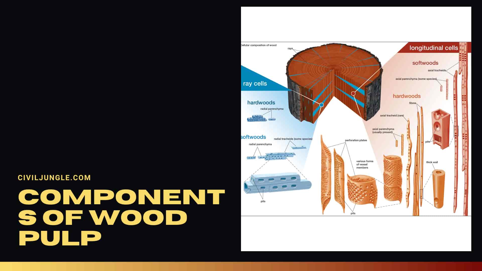 Components of Wood Pulp