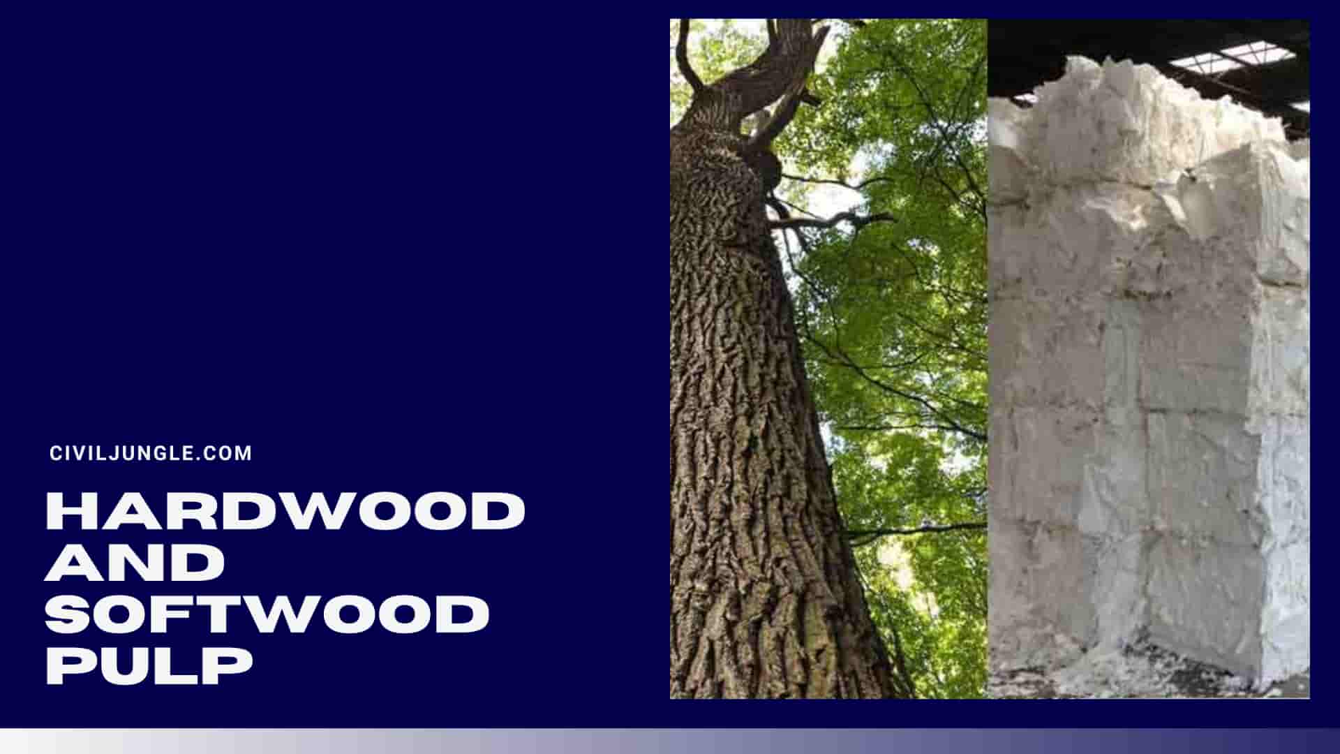 Hardwood and Softwood Pulp