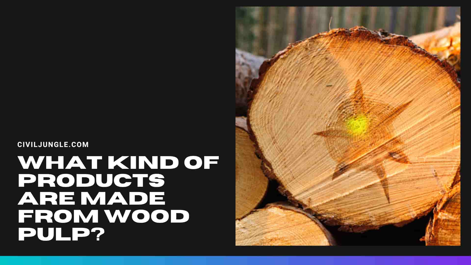 What Kind of Products Are Made from Wood Pulp?
