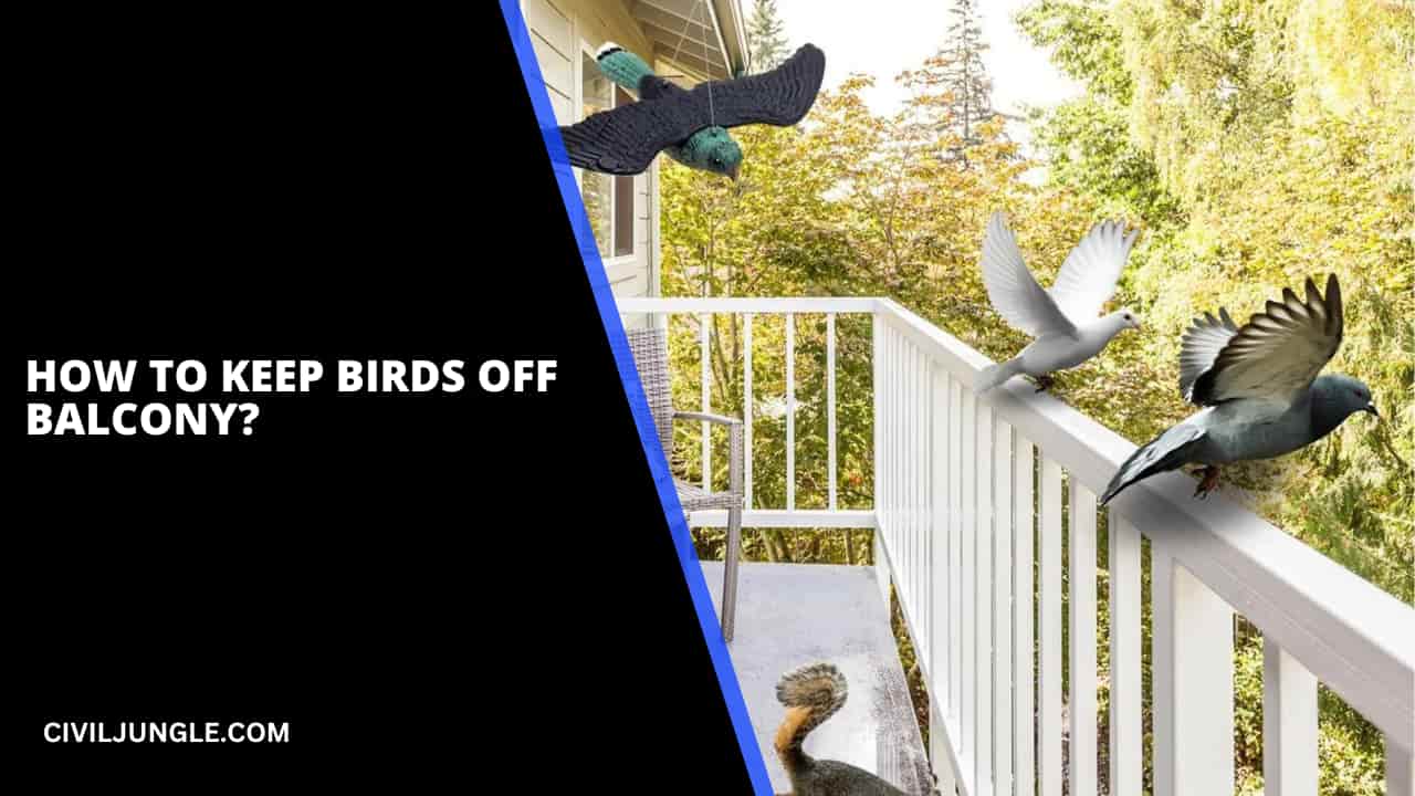 Effective Methods to Keep Birds Off Your Balcony | Bird Repellent Tips