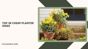Top 38 Cheap Planter Ideas